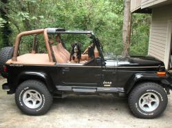 1995 Jeep Wrangler #2