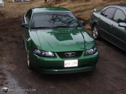 1999 Ford Mustang #7
