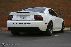 1999 Ford Mustang SVT Cobra #10