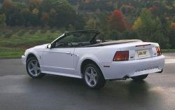 1999 Ford Mustang SVT Cobra #6