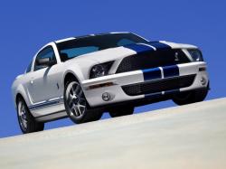 2007 Ford Shelby GT500 #12