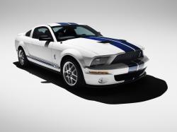 2007 Ford Shelby GT500 #19