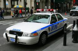2008 Ford Crown Victoria #11
