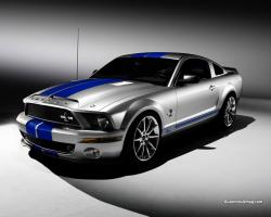 2008 Ford Shelby GT500 #9