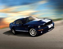 2009 Ford Shelby GT500 #13