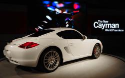 2009 Porsche Cayman #14