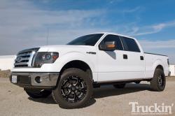 2010 Ford F-150 #13