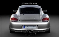 2010 Porsche Cayman #6