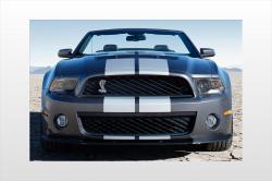 2010 Ford Shelby GT500 #6
