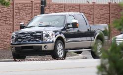 2013 Ford F-150 #16