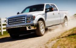 2013 Ford F-150 #20