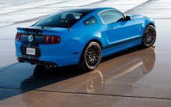 2013 Ford Shelby GT500 #10