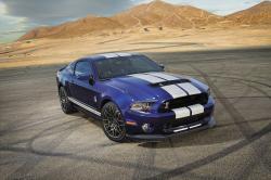 2014 Ford Shelby GT500 #10
