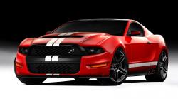 2014 Ford Shelby GT500 #17