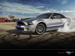 2014 Ford Shelby GT500 #19