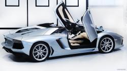 2014 Lamborghini Aventador #15