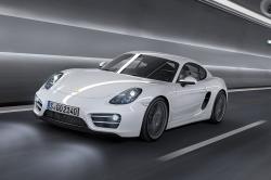 2014 Porsche Cayman #8