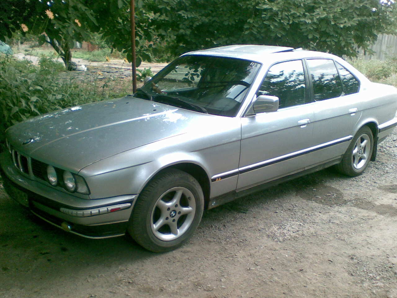 BMW 5 Series #12