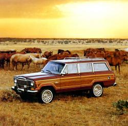 1991 Jeep Grand Wagoneer #6