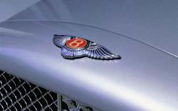 2003 Bentley Arnage #7