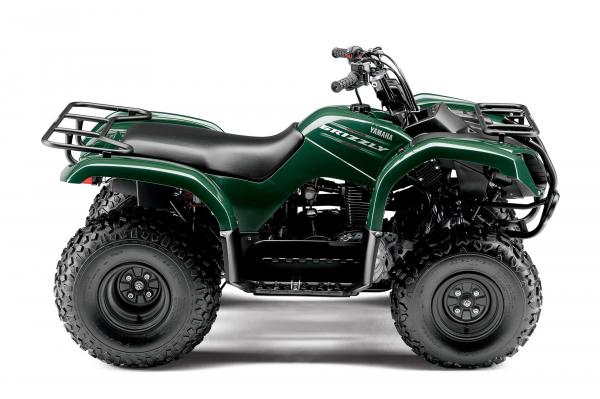 A grizzly bear power of Yamaha Grizzly